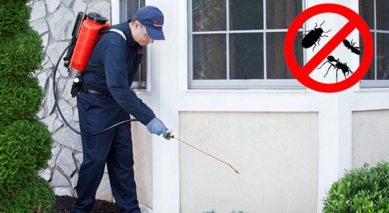 Hozat Kene İlaçlama böcek ilaçlama ve haşere kontrolü — ilaclama-tr.com